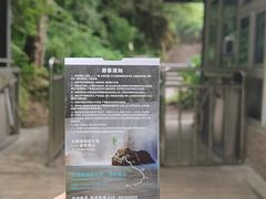 -西岭雪山大飞水景区