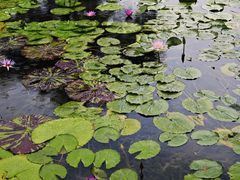 -云溪植物园
