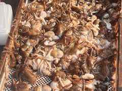 -东方鼎信农副产品交易中心