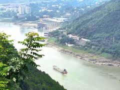 -铁山坪森林公园