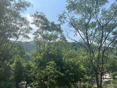 -平江沱龙峡漂流