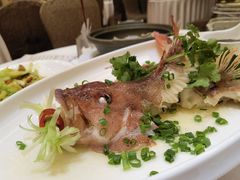 -金满楼(天河中路店)