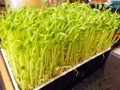 -捞神汤物料理(正大广场店)