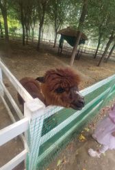 -优沃得自然教育农场·冰雪乐园·生日会·研学