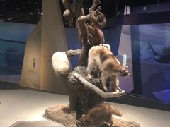 -武汉园博园(武汉自然博物馆)