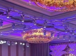 -曼格纳婚礼艺术中心(张江店)