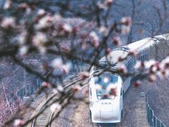 -居庸关长城