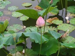 -人民公园(罗湖区)