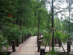 -重庆彩云湖湿地公园