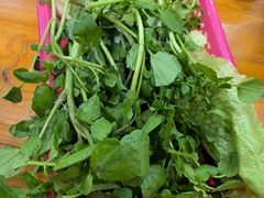 -15年老字号鑫鑫猪肚鸡·椰子鸡海南火锅(兴隆华侨农场店)