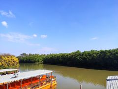 -大湾区中央湿地公园