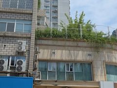 门面-东泰祥生煎馆(重庆北路店)