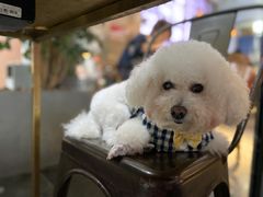 -桃园眷村(万象天地店)