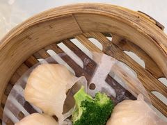 -馨越楼·点心·粤菜(赤坎店)