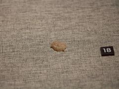 -鸿山遗址博物馆