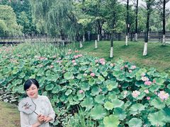 -沐仙湖湿地公园
