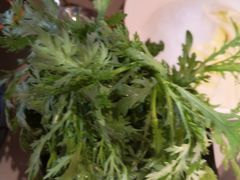 -渡娘火锅(大兴大悦春风里店)