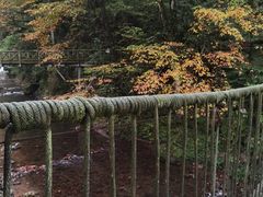 -龙苍沟森林公园