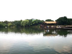 -圩墩遗址公园