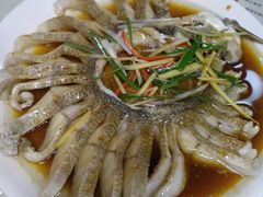 -煲来饱去冷水鱼