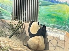 -青藏高原野生动物园