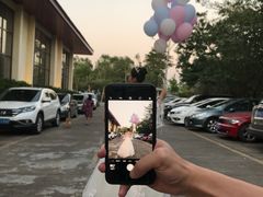 -星湖愉景酒家