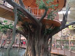 -南宫五洲植物乐园