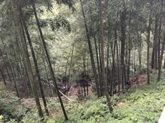 -藏龙百瀑风景区