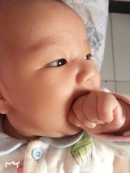 -首都儿科研究所附属儿童医院