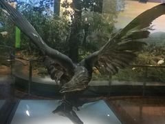 -陕西自然博物馆