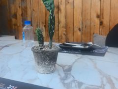 -闲·胡同 Barblu Hutong(雍和宫五道营店)