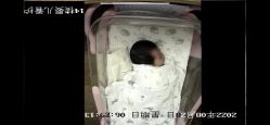 -诗安嘉康月子中心(金阳店)