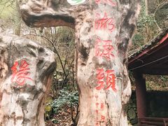 -太湖源风景区