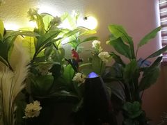 -怡泰SPA·泰疗按摩(徽宁路店)