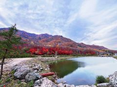 -龙道沟景区