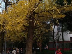 -四川大学(望江校区)