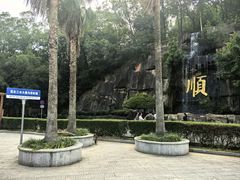 -三水森林公园