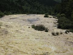-黄龙山原始森林景区