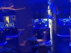 -上和臻品中国菜(花园街店)