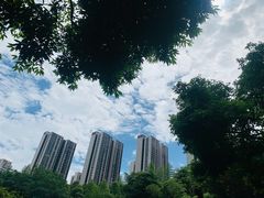 -龙头寺公园