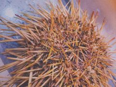 -HIHE Bistro·Oyster Bar(华熙live店)