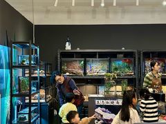 -FAIRYLAND龙族星球主题餐厅(凯丹广场店)