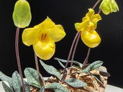 -北京植物园-展览温室