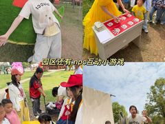 -中国西峡恐龙遗迹园