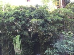 -胶囊画廊