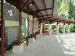 -新加坡飞禽公园