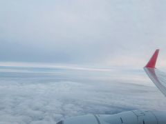 -张家界荷花国际机场航站楼-国内出发