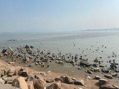 -深圳湾公园(南山区)