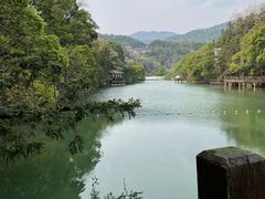 -洪崖丹井