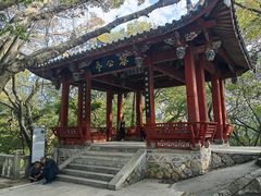 -乌山风景区